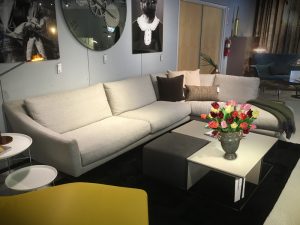 Furniture Store Designer Sofa Track Lighting Flowers